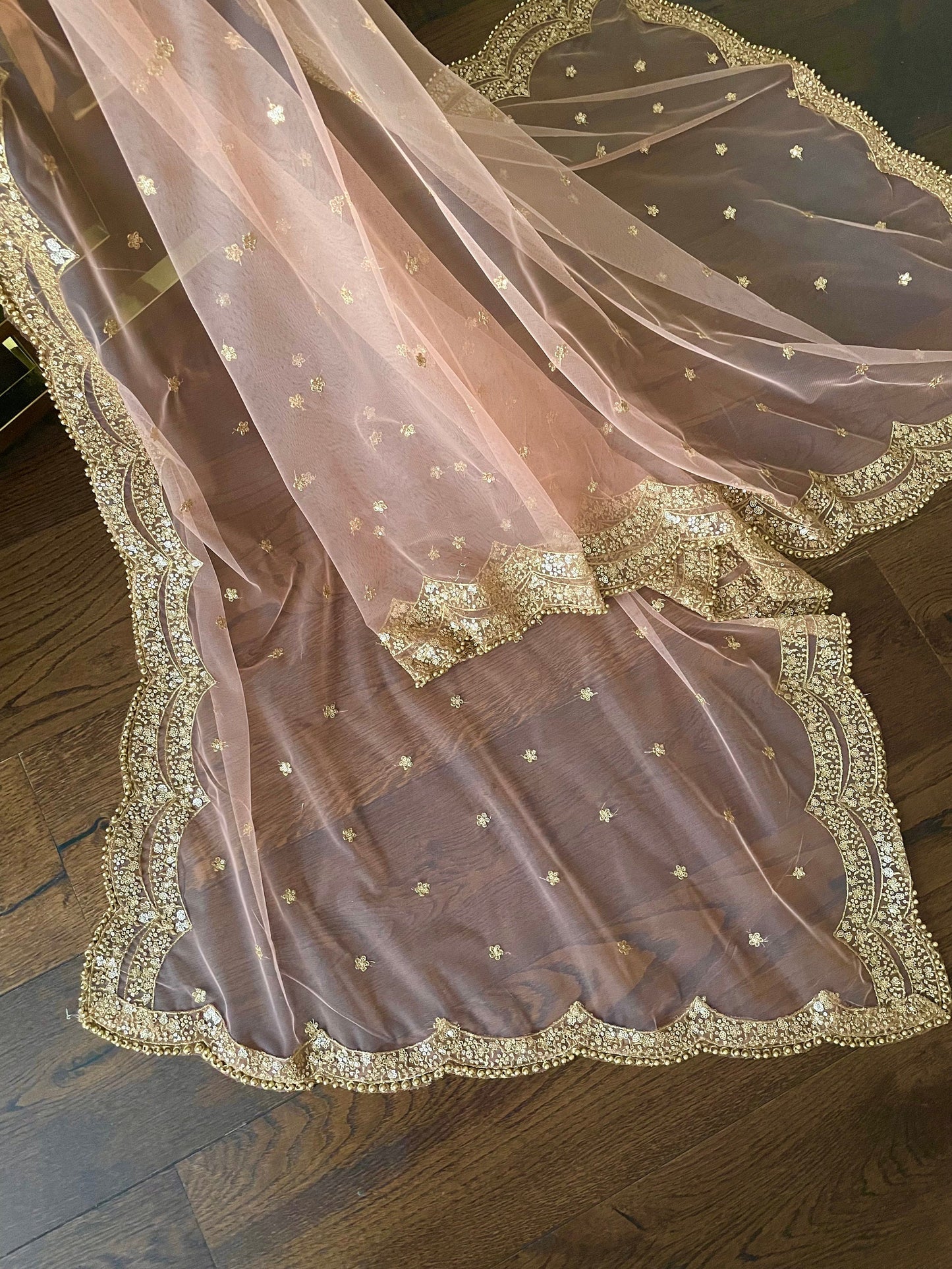 Peach Net Duppattas scallop Sequin border Scarf Chunni Chunri Odhni Eid Outfit update Salwar Kameez Pastels