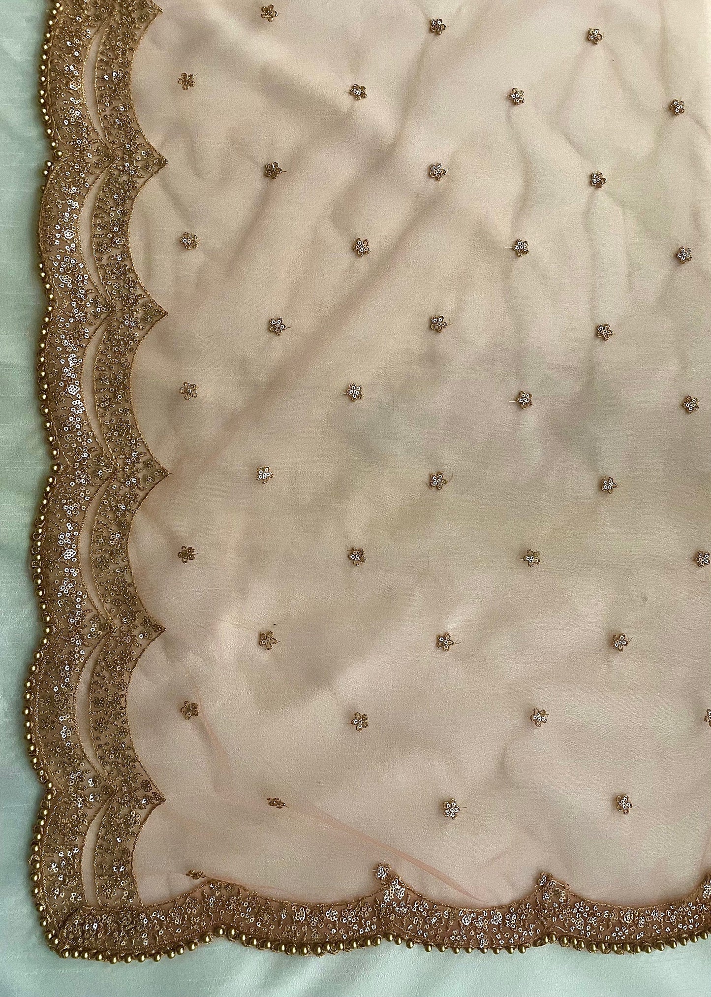 Peach Net Duppattas scallop Sequin border Scarf Chunni Chunri Odhni Eid Outfit update Salwar Kameez Pastels