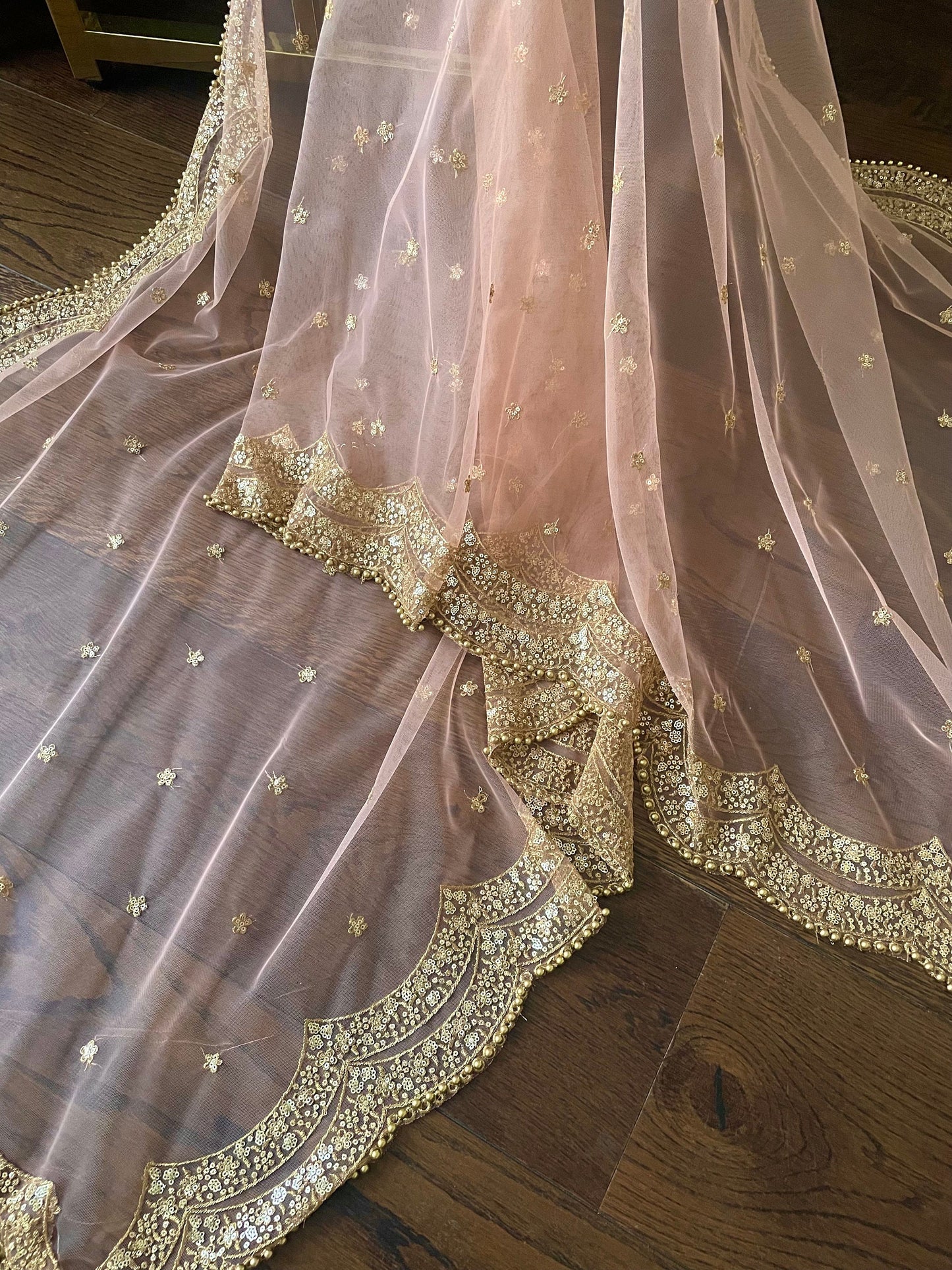 Peach Net Duppattas scallop Sequin border Scarf Chunni Chunri Odhni Eid Outfit update Salwar Kameez Pastels